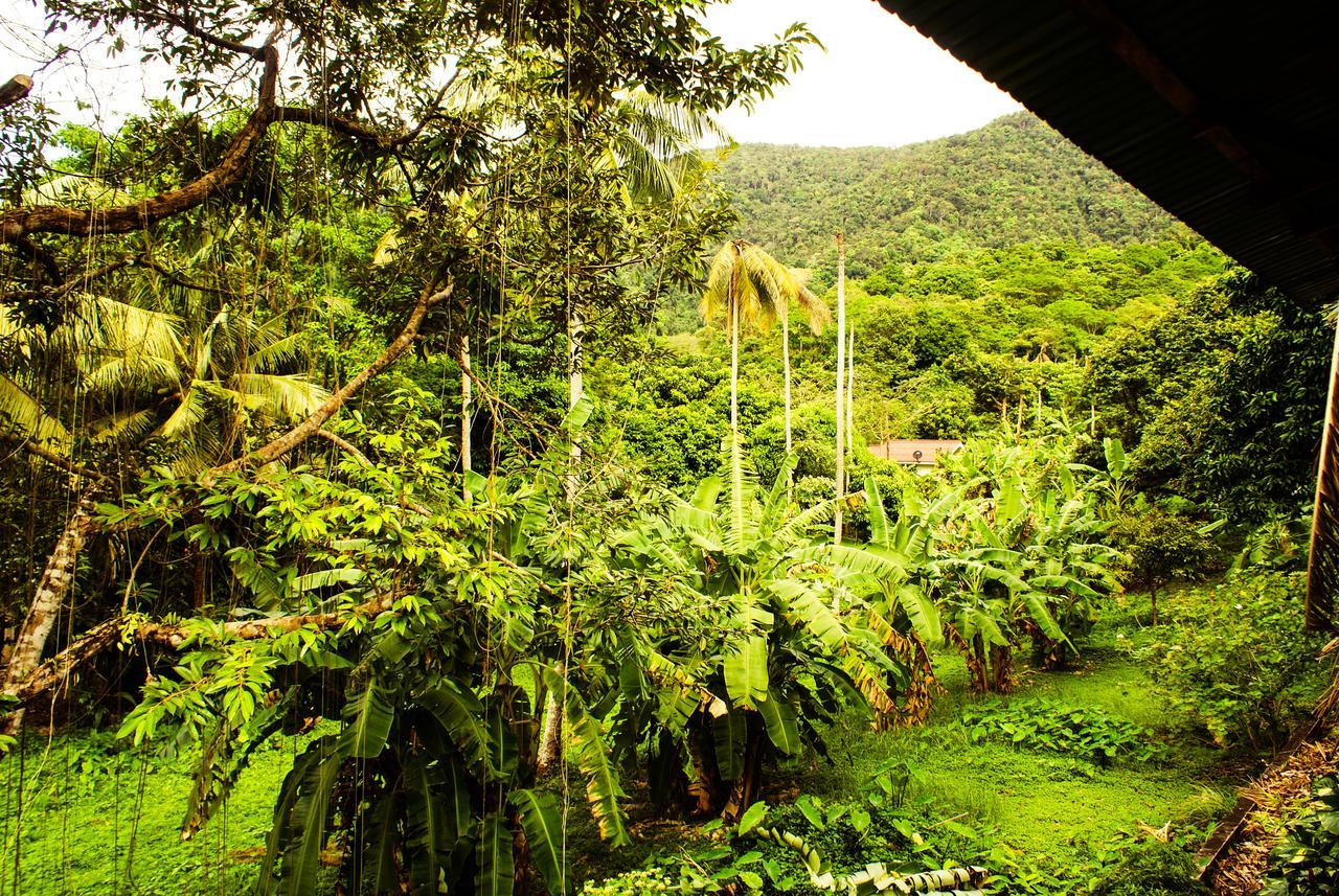 Rock Inn Bailan Koh Chang Exterior photo
